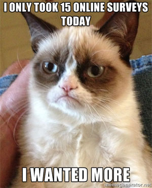 grumpy cat