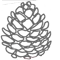 pinecone