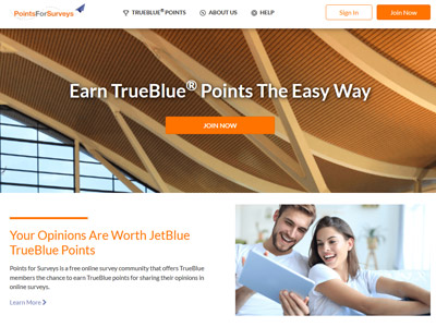 Points for Surveys website screenshot