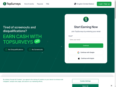 TopSurveys website screenshot